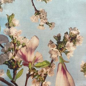 Joan Vass luscious faux leather jacket. Tulip Magnolia 🌸 floral pattern!